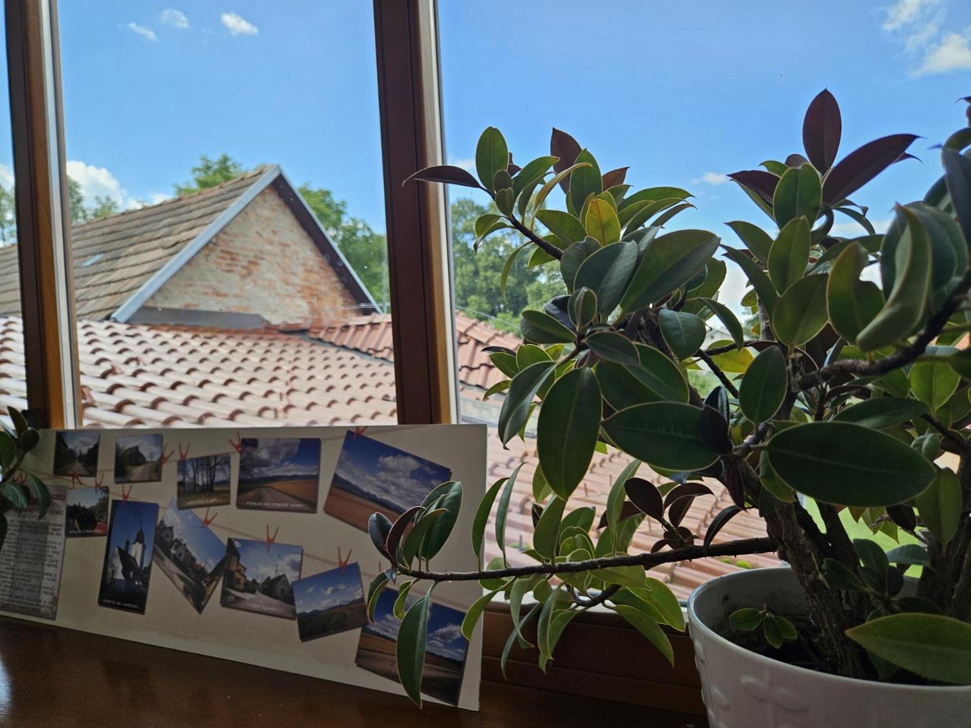 Penzion Pod Krivanom ลิปโตฟสกี ราโดค ภายนอก รูปภาพ
